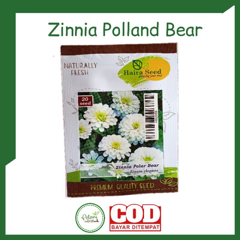 Benih Biji Bibit Tanaman Hias Bunga Bungaan Zinnia Zinia Polar Bear Elegans Putih Tumpuk Kertas