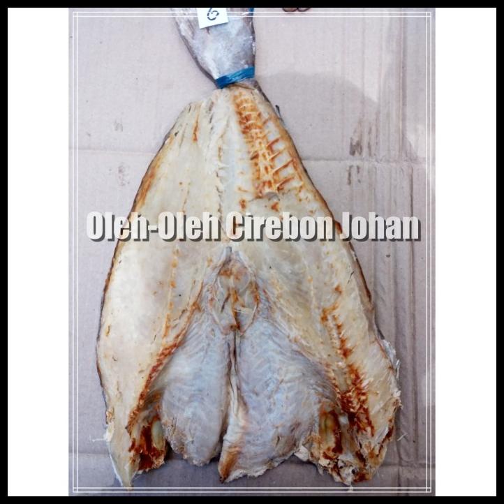

Ikan Jambal Roti Ukuran Sedang