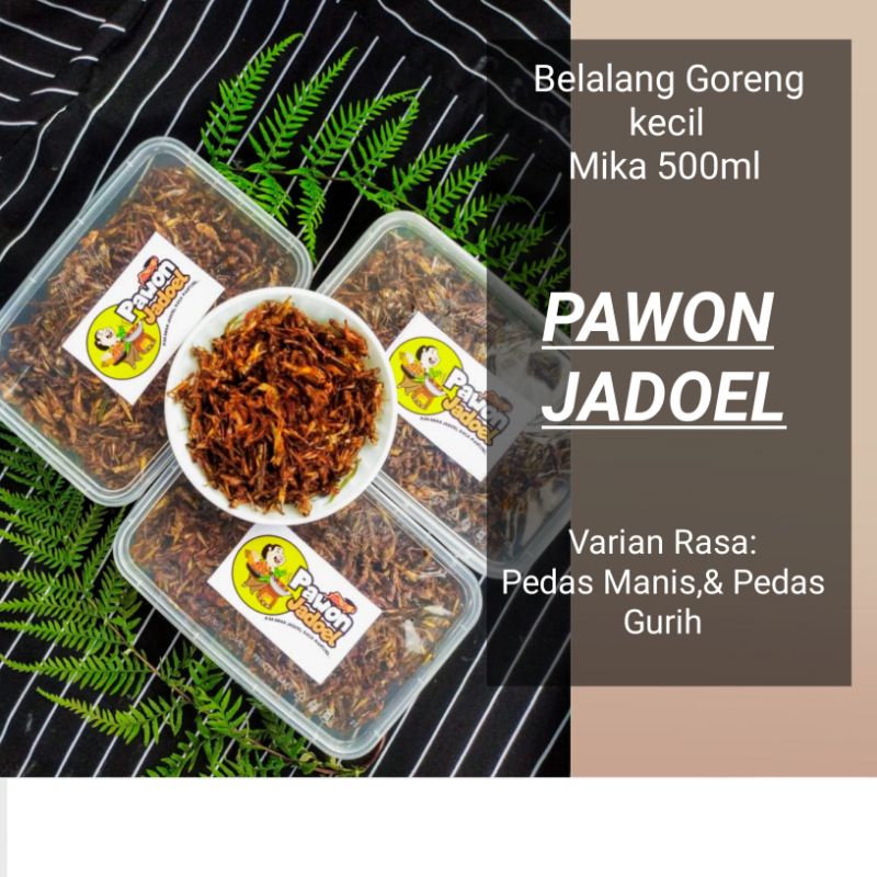 

Belalang Goreng kecil mika 500ml Isi 200 gr termurah!!