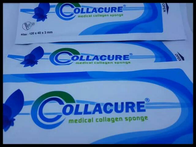 COLLACURE spon collagen dressing ukuran 50 x 50 x 5 mm