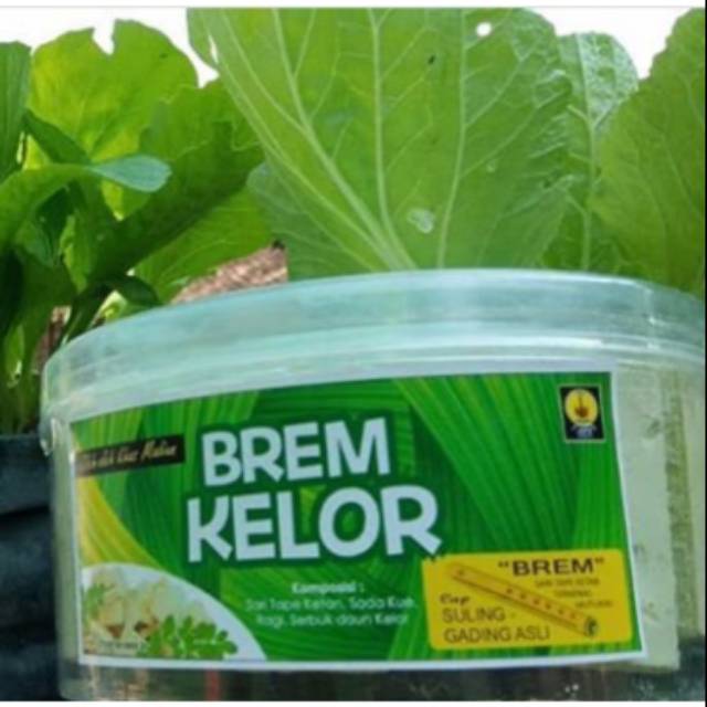 

Brem Kelor