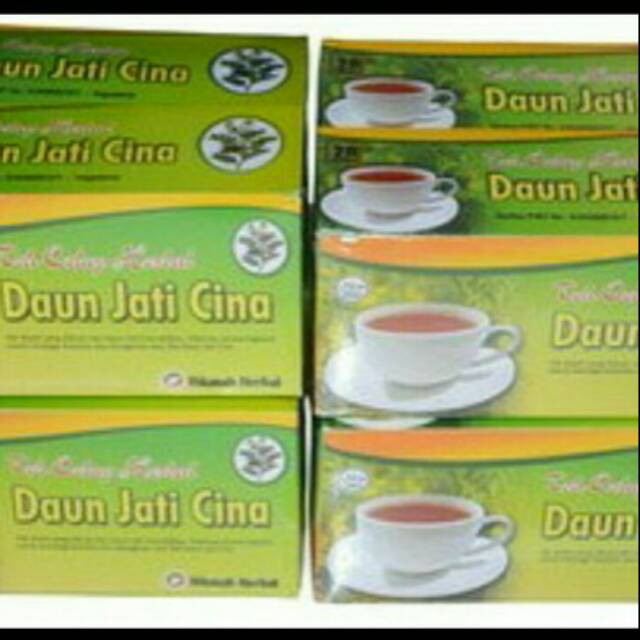 

DAUN JATI CINA HIKMAH
