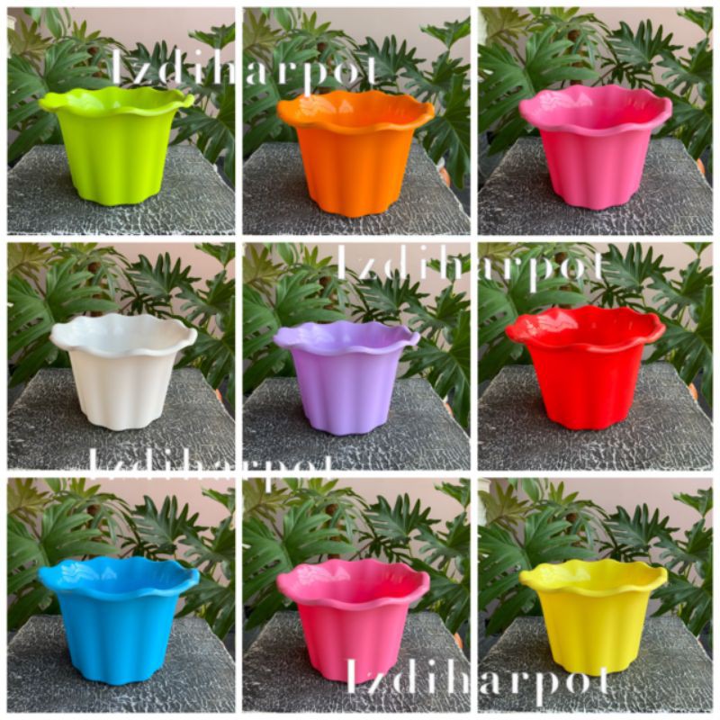 Pot bunga tanaman warna warni nkt sakura 20cm model mawar - nkt sakura