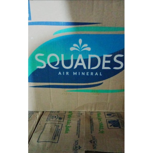 SQUADES 600ML DUS