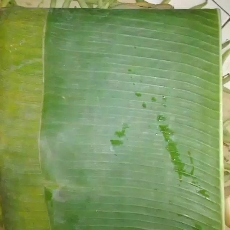 

Daun Pisang Per ikat