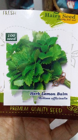 Tanaman Calathea Silver