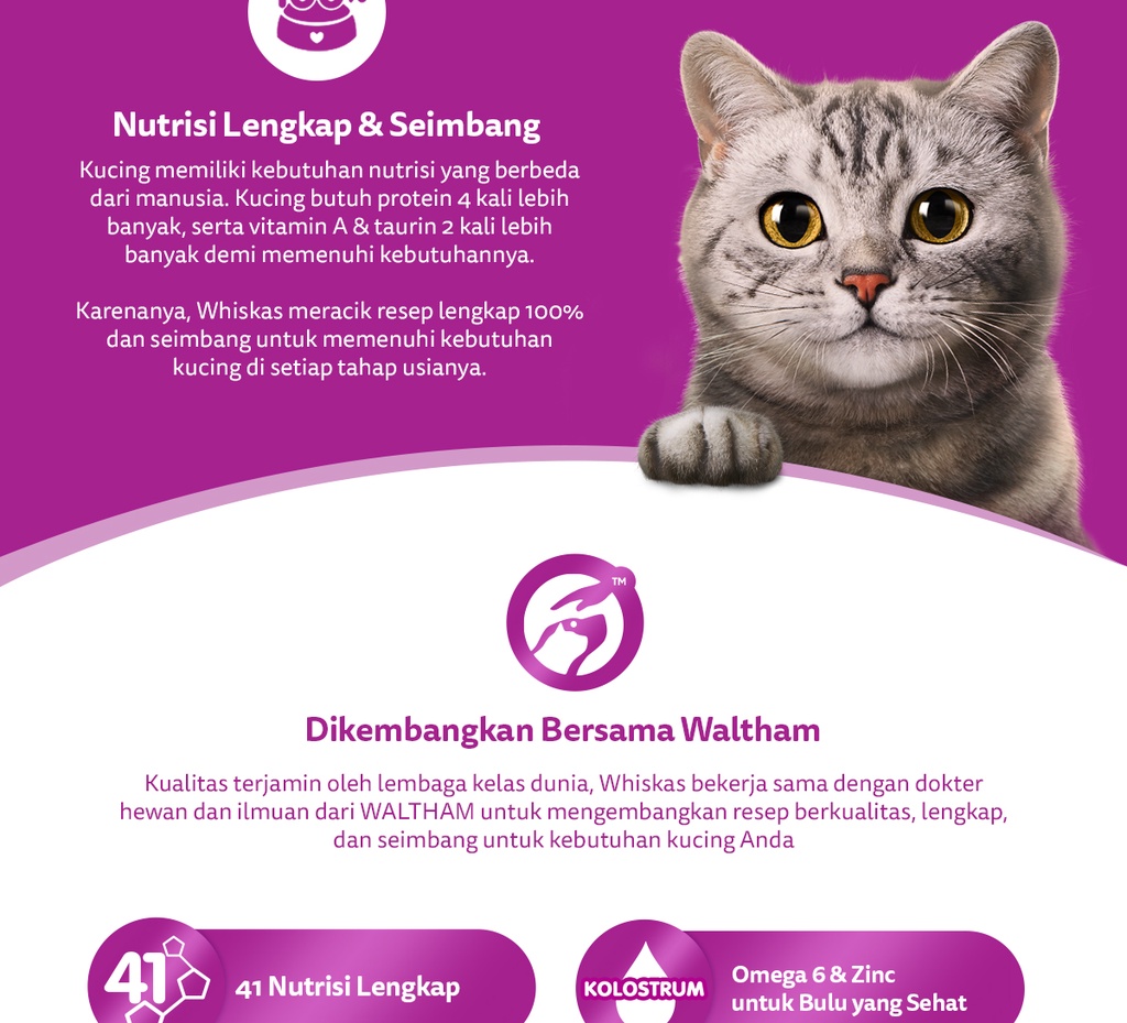Jual WHISKAS Junior Makanan Kucing Kering, 450g. Makanan Anak Kucing
