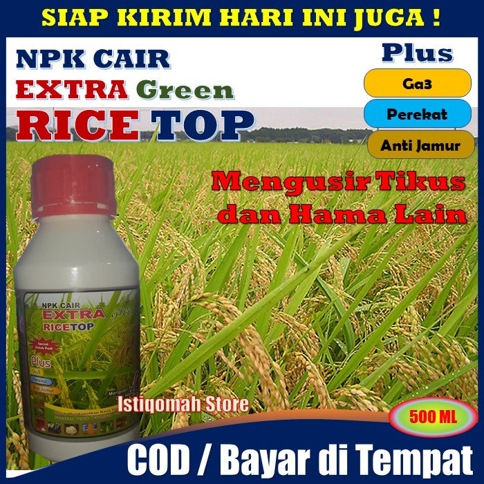 RICETOP 500ml - Obat Semprot Hama Tikus &amp; Hama Lainnya Menambah Bobot Gabah Padi - Pupuk NPK Cair untuk Meningkatkan Pertumbuhan dan Kwalitas Tanaman Padi, Merangsang Pertumbuhan Pohon &amp; Buah Tanaman Padi secara Menyeluruh - EXTRA GREEN RICE TOP