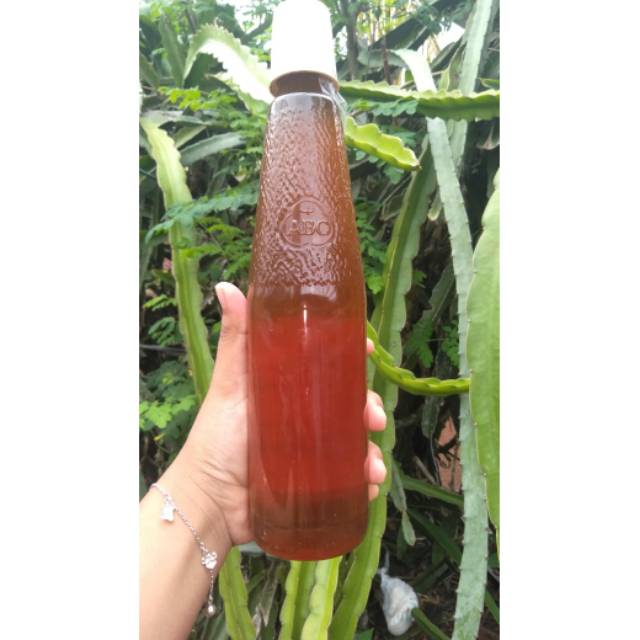 

madu asli tasik