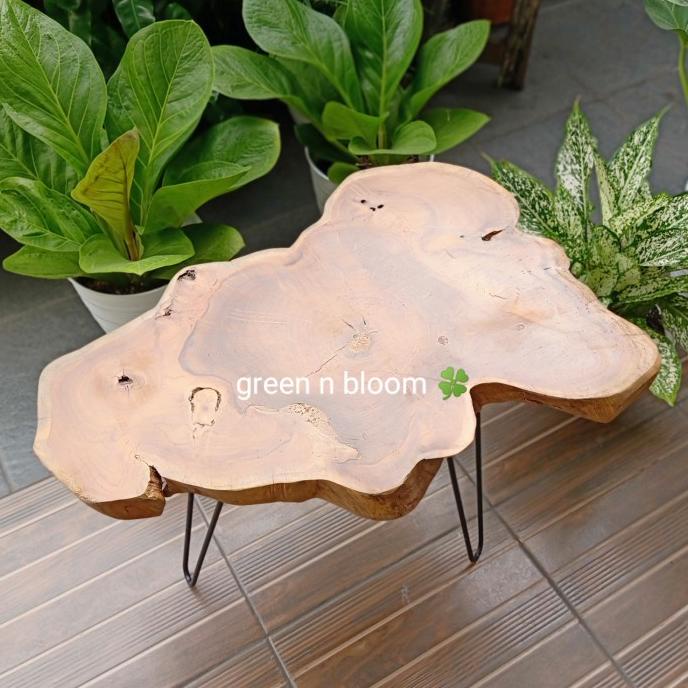Standing planter kayu jati (besar) / kaki pot kayu