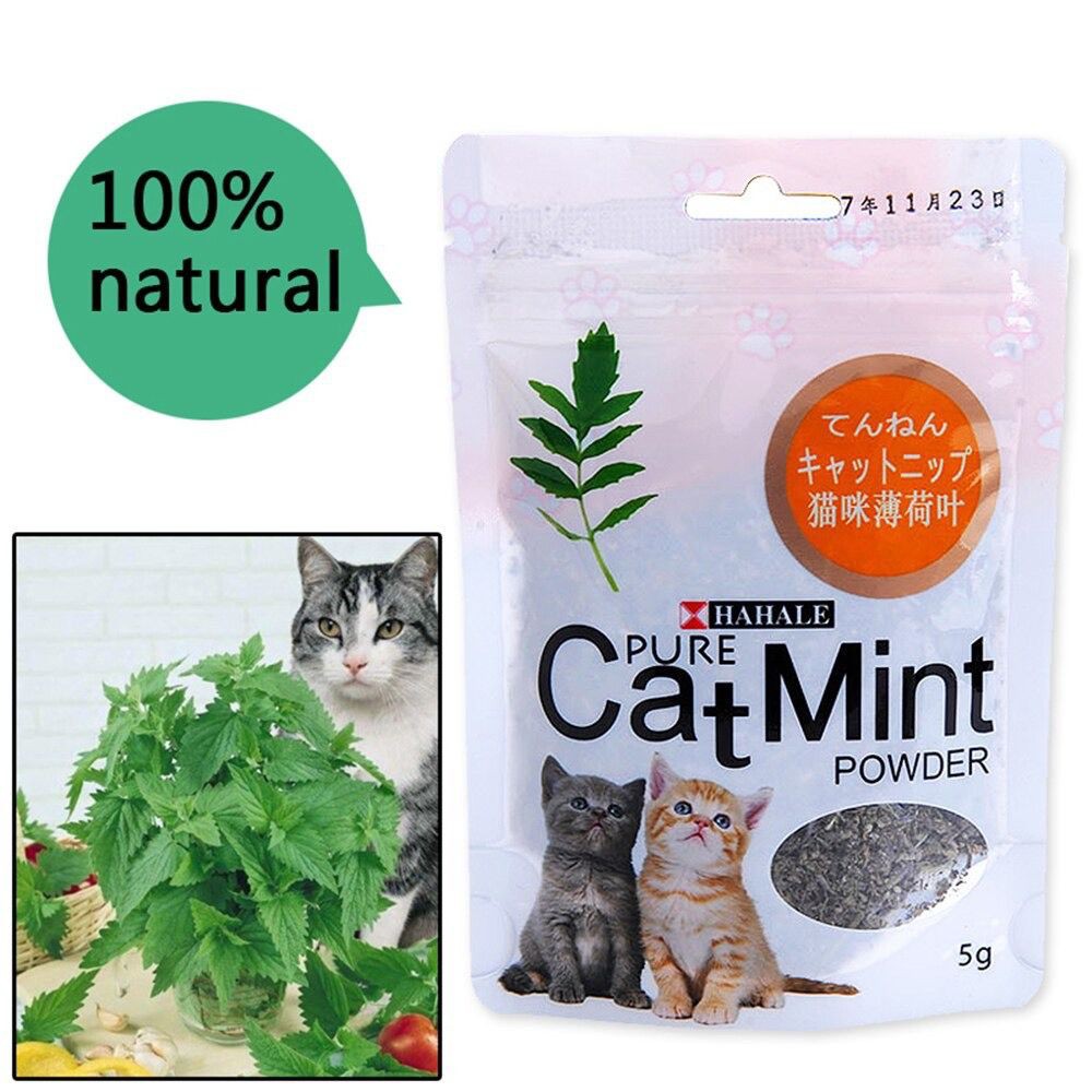 Catnip catmint cat mint - PURE CATMINT POWDER  5Gr