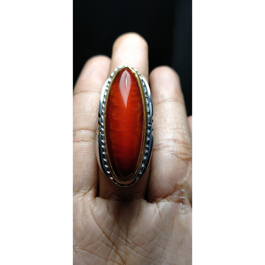 pandan merah sisik betok