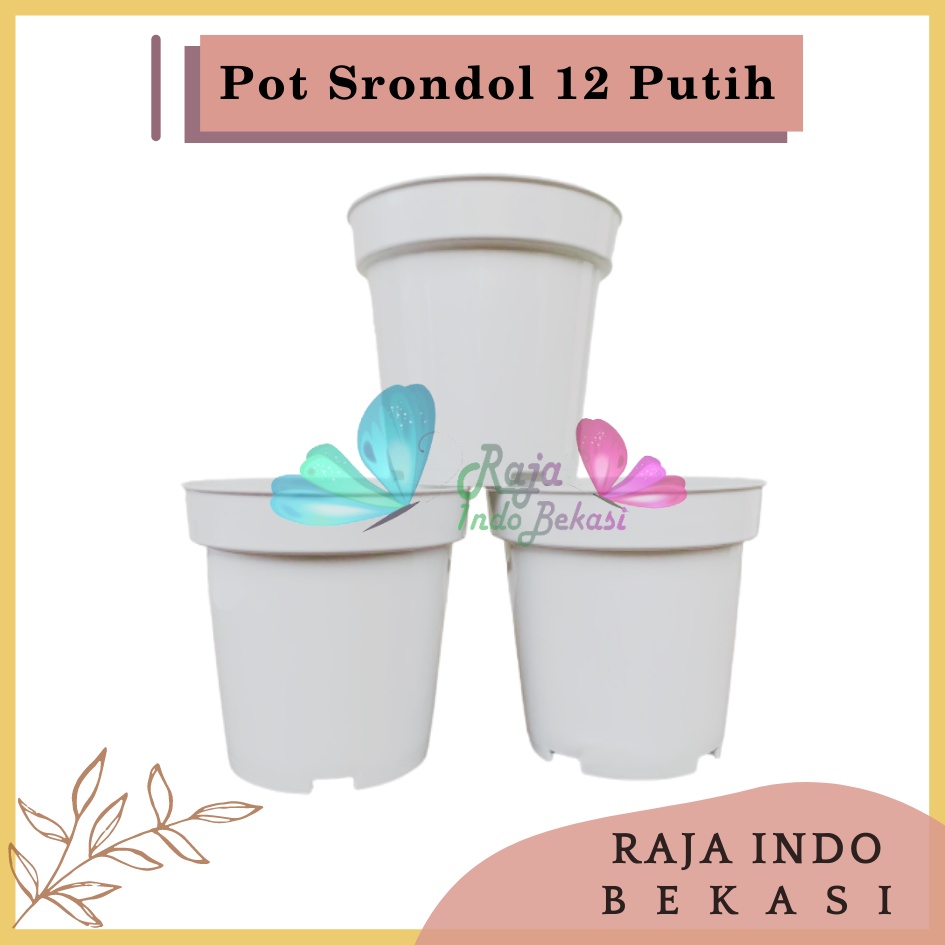 Pot Tinggi Srondol 12 PUTIH - Pot Tinggi Usa Eiffel Effiel 18 20 25 Lusinan Pot Tinggi Tirus 15 18 20 30 35 40 50 Cm Paket murah isi 1 lusin pot bunga plastik lusinan pot tanaman Pot Bibit Besar Mini Kecil Pot Srondol