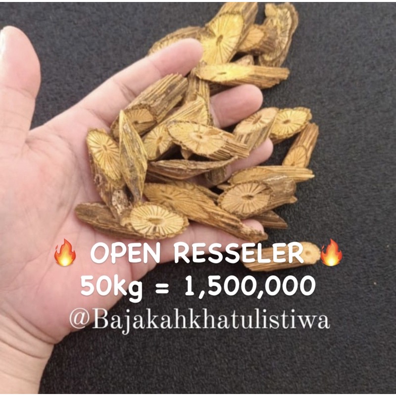 

Akar Bajakah Akar Kuning Asli Kalimantan (50 kg)