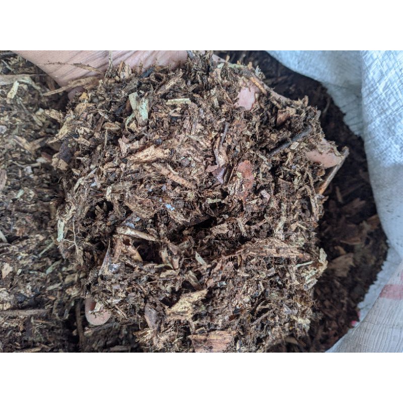 Humus Bambu Hutan Murni 1Kg