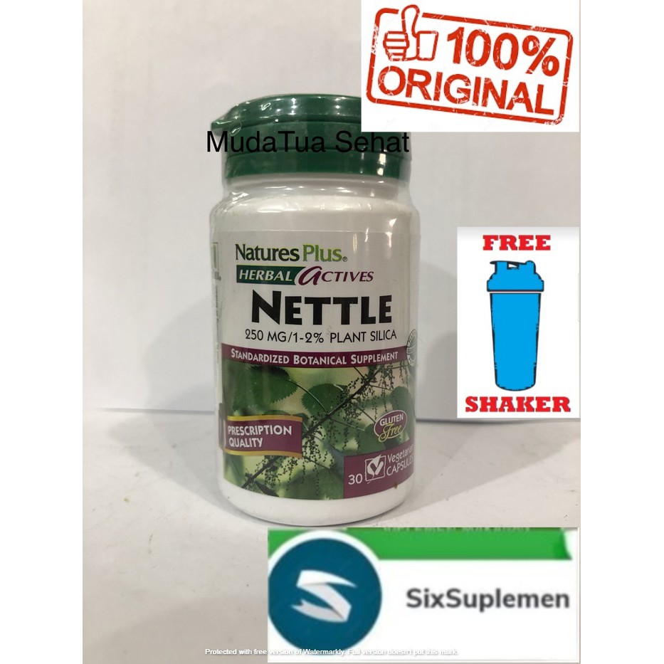 (Bonus Shaker) Nature's Plus Nettle 250mg Natures BPOM Original Obat Asam Urat isi 30