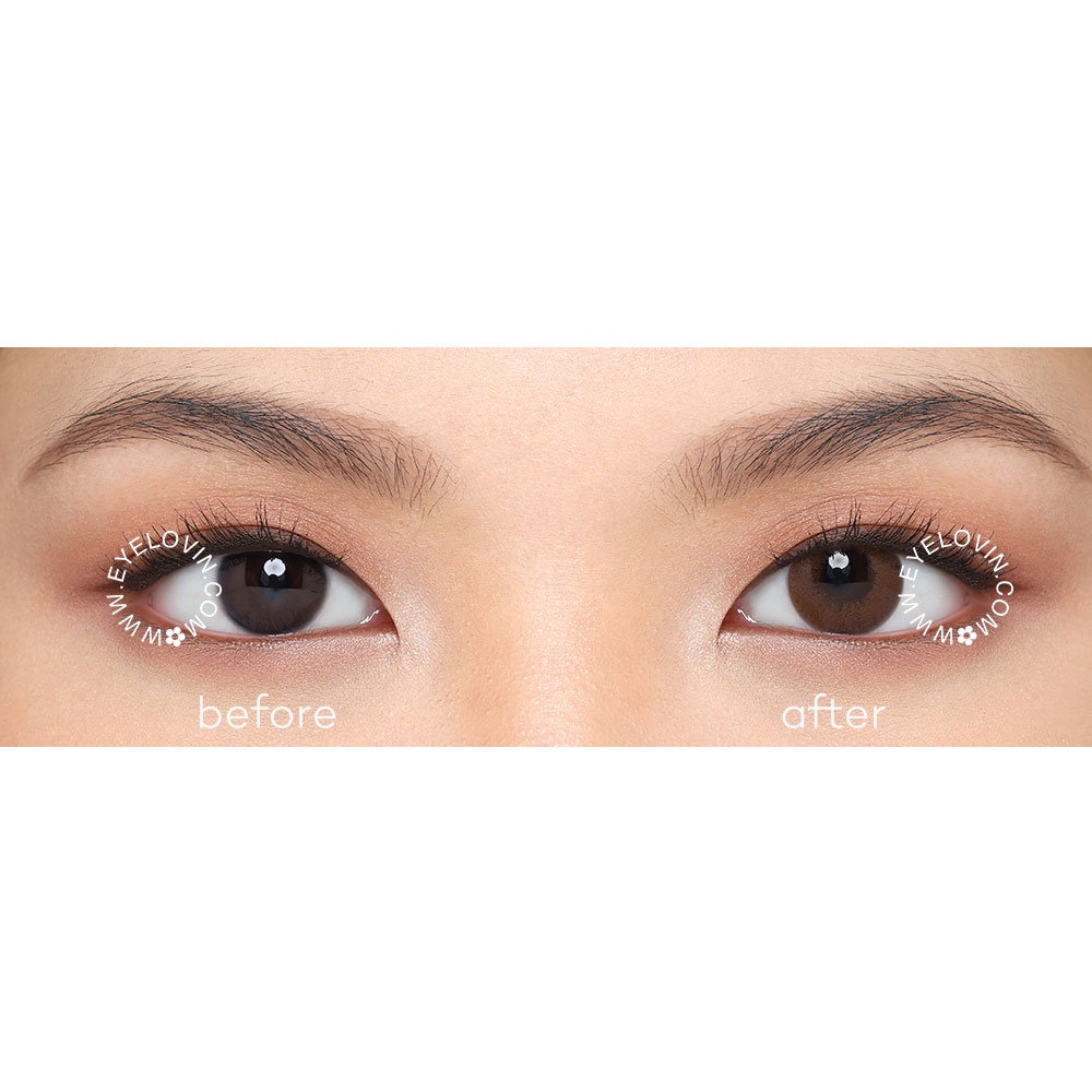 EYELOVIN Softlens Quita - Nami Brown