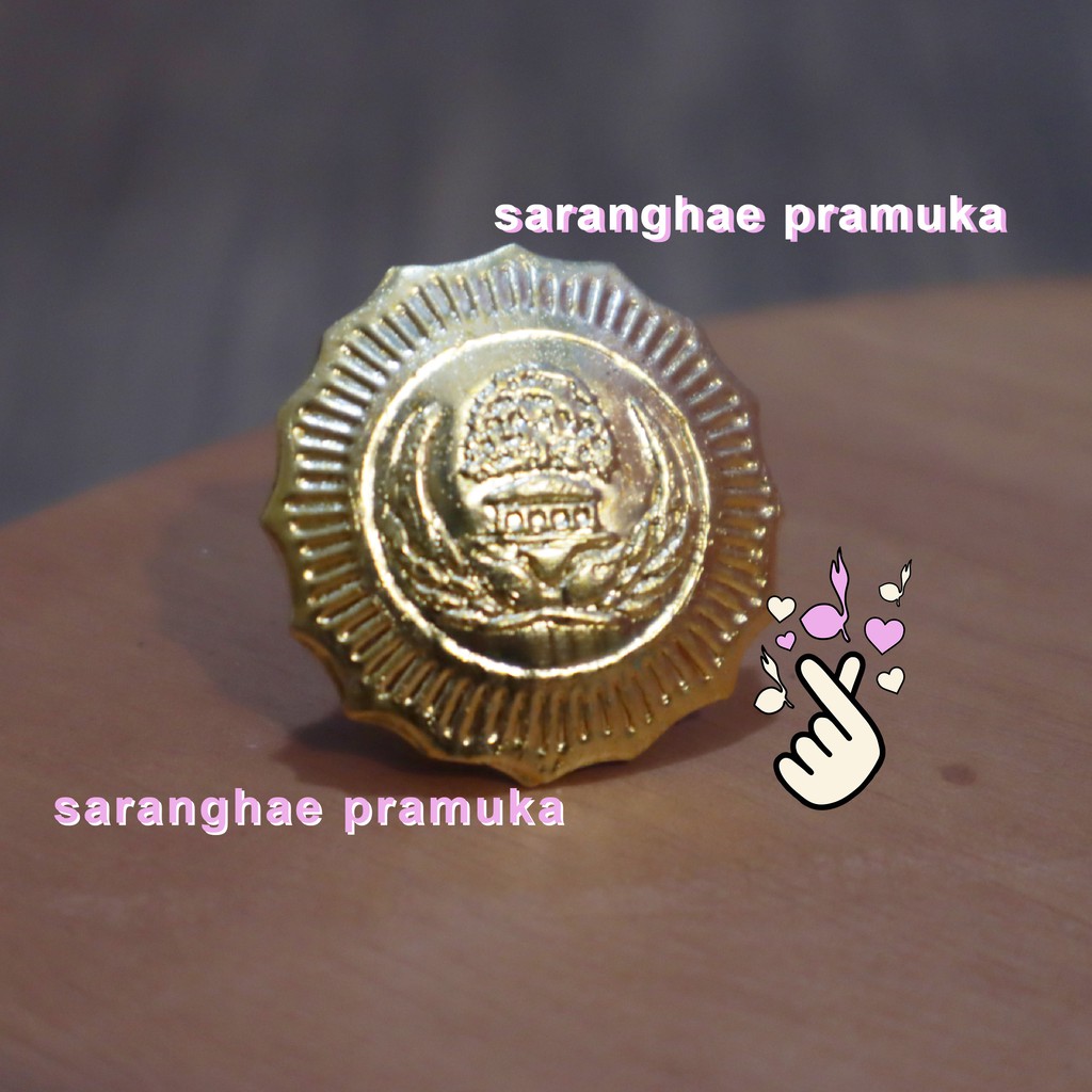 Pin Korpri Golongan