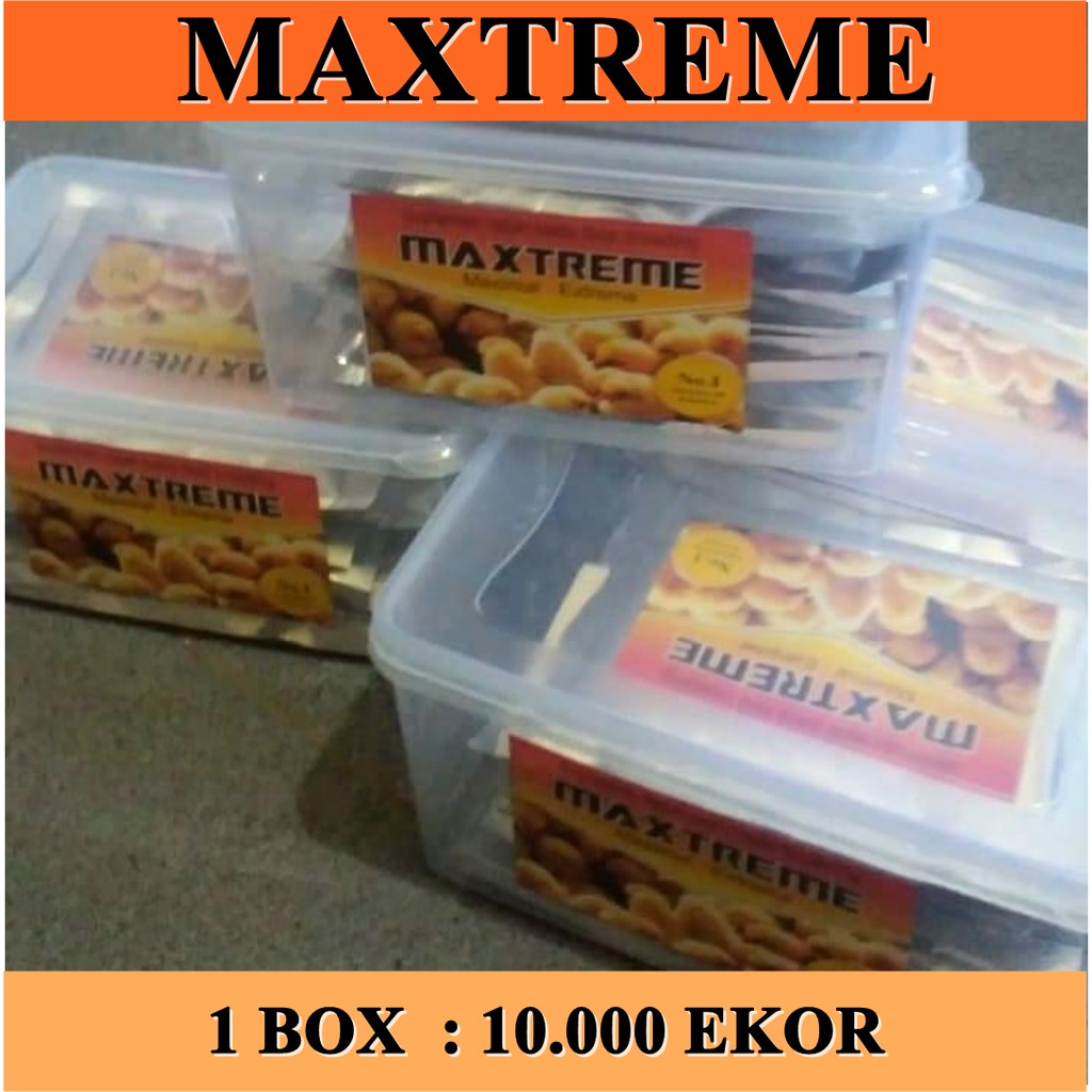 MAXTREME suplemen ayam broiler 1 box 10 saet / obat ayam broiler / maxtreme ayam broiler