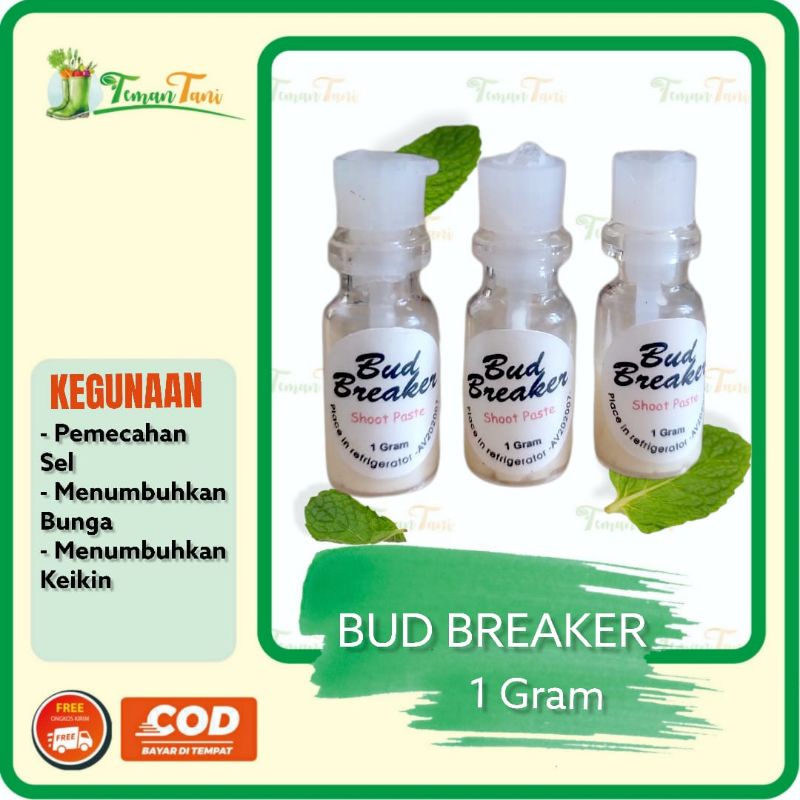 HORMON PENUMBUH BUNGA DAN KEIKI ANGGREK BUD BREAKER KEMASAN 1 GRAM