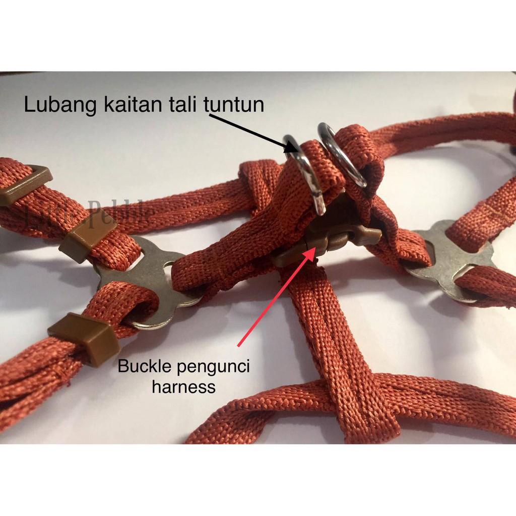 TALI TUNTUN HARNESS ANJING KUCING-CP13-XS