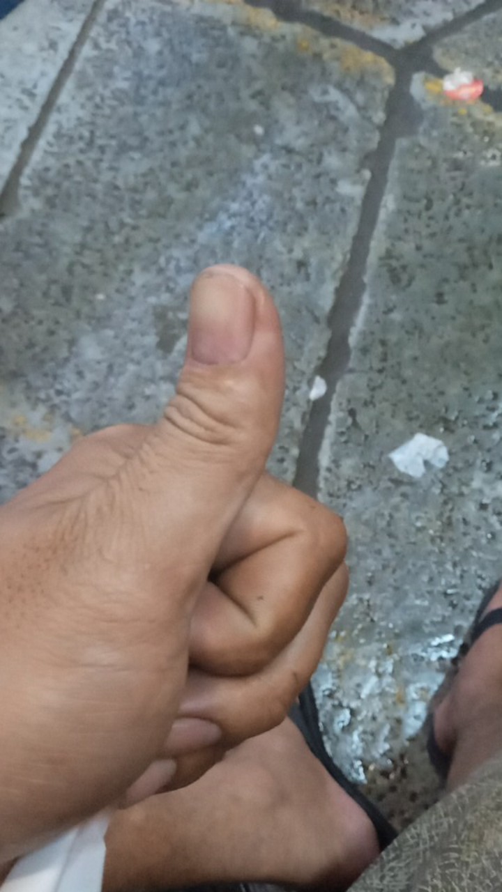 Maspion Teko Pemanas Air 3,5l Teko Masak Bunyi Siul Whistling Kettle Rigoletto Anti Karat Ori