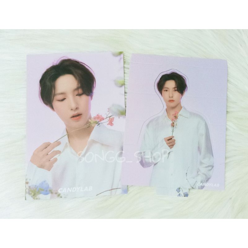 RENJUN JENO CANDYLAB VER4