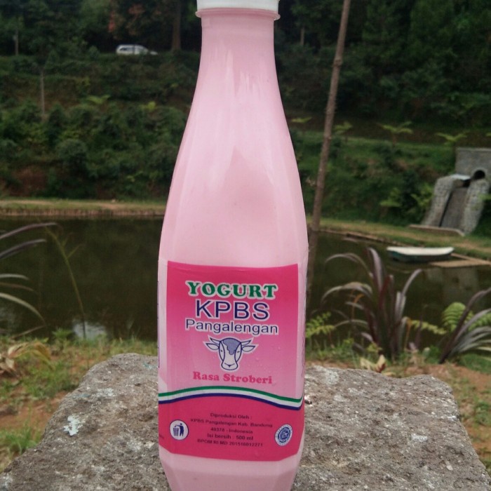 

Ee510 Yoghurt Kpbs Pangalengan Stroberi Anggur Leci Plain Ukuran 500 Ml - Leci 6Ggddv