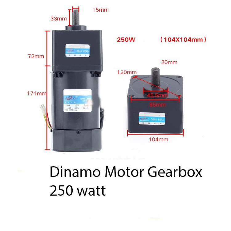 DINAMO MOTOR GEARBOX AC 220V plus Speed Control 250W (RGN)