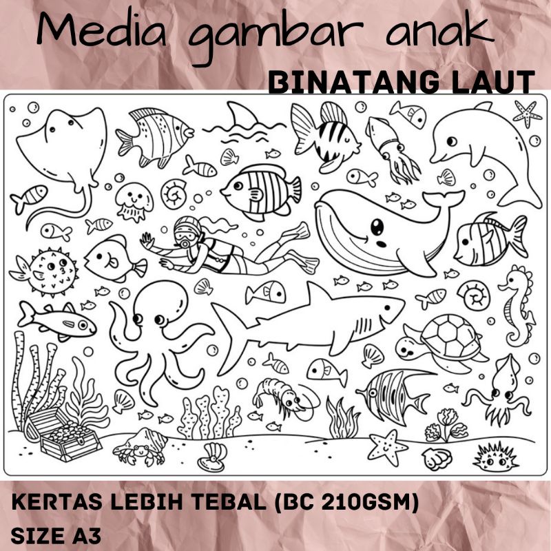 Media Gambar Anak A3 Tebal Media Mewarnai Anak