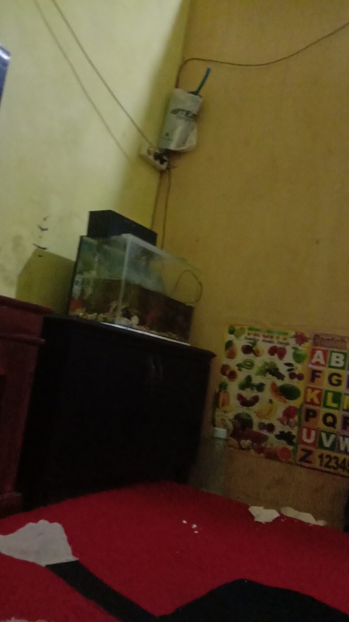 D-store Kemeja Batik Distro Pria Lengan Pendek Cutting Slimfit Cotton Stretch Premium Quality