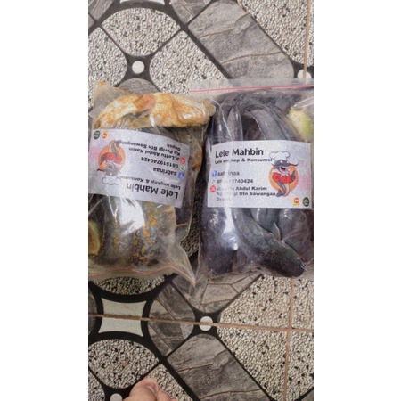 

lele ungkep siap goreng