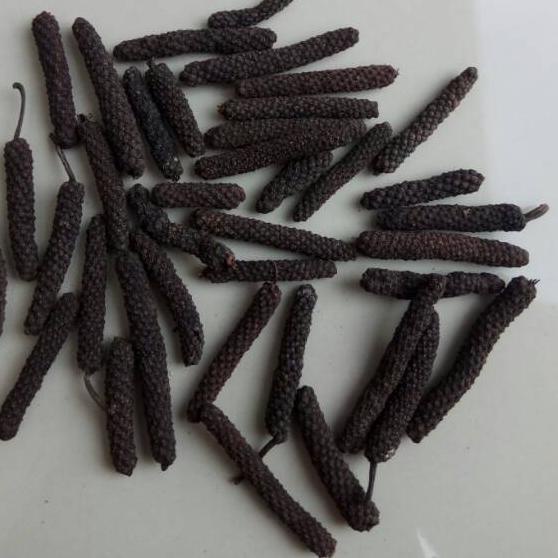 

Berkualitas! Cabe Jamu / Cabe Puyang / Cabe Jawa / Long Pepper Harg Ter1 Kg