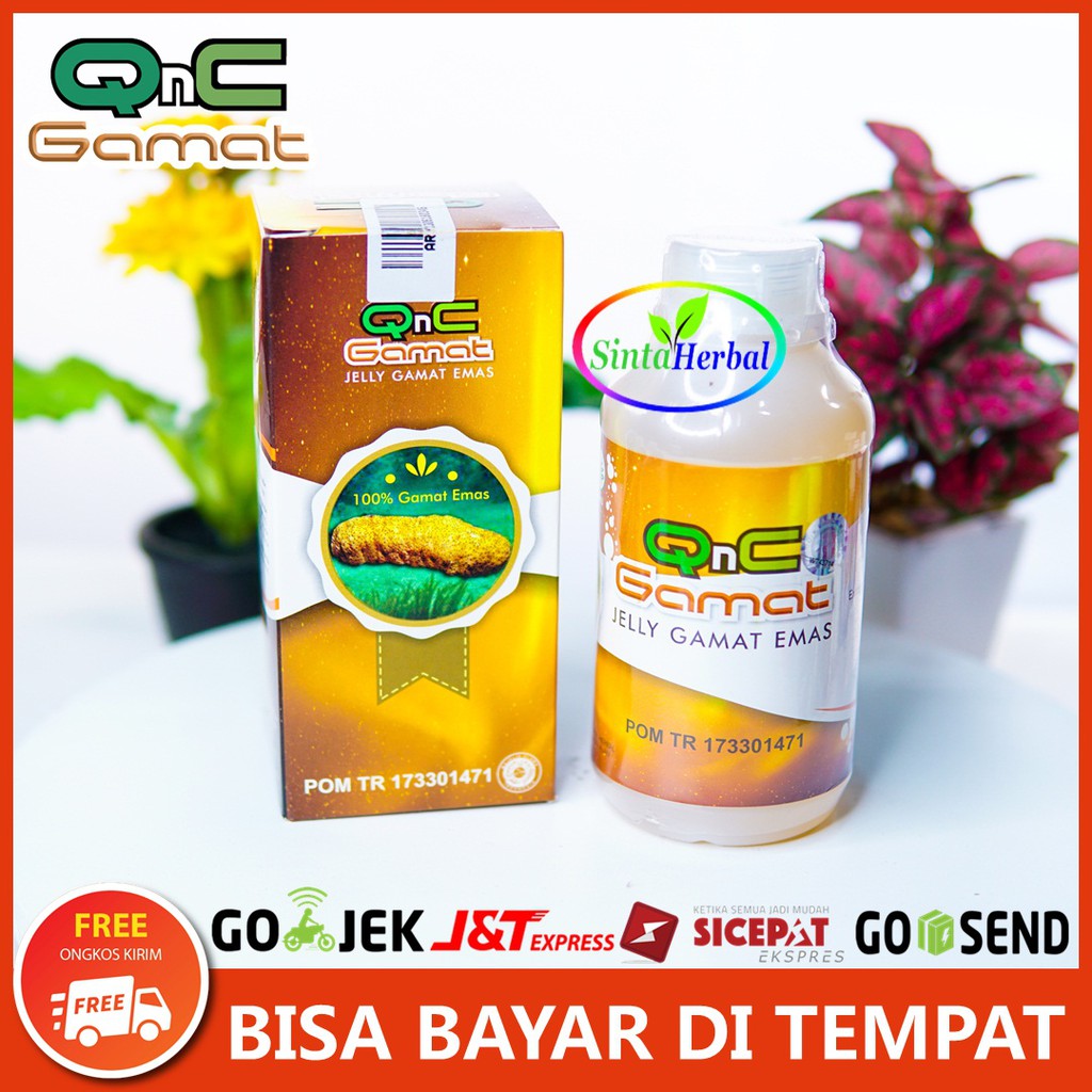 Obat Herbal Hernia Obat Turun Berok Obat Qnc Jelly Gamat Original Shopee Indonesia