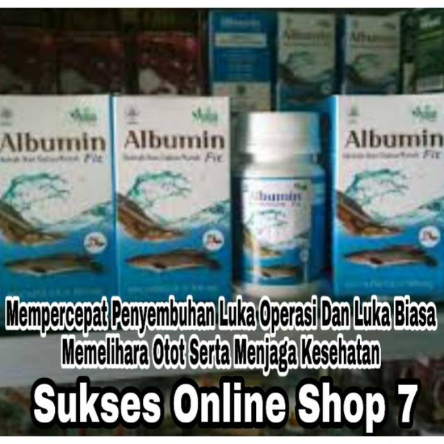 Kapsul Ikan Gabus Albumin Obat Luka Sesudah Operasi