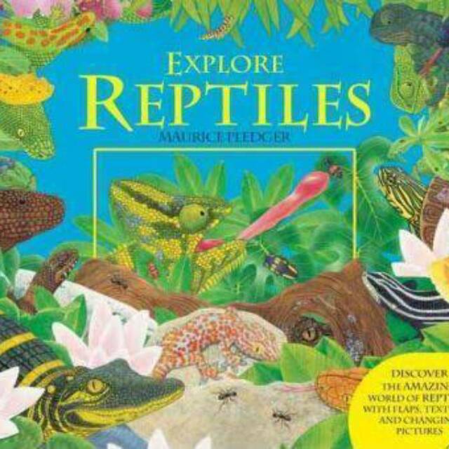 Explore Reptiles