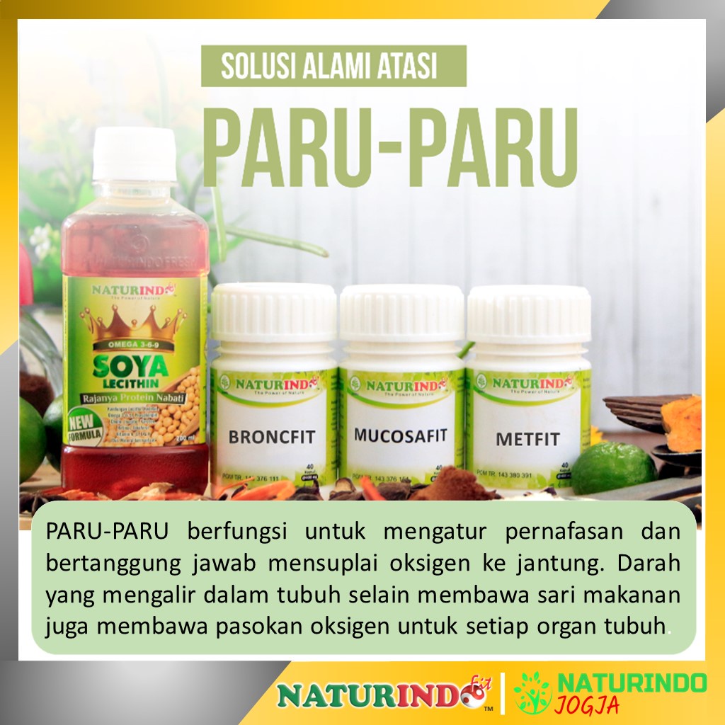 Obat Sesak Nafas Batuk Kering Berdahak Batuk Berlendir Alergi Dingin Debu Sinusitis Rhinitis Amandel Menaun Obat Asma Obat TBC Bronkitis Obat Jamu Herbal Sesak Nafas Obat Gangguan Pernafasan Alergi Debu Obat Gurah Paru Paru Bron C Fit Naturindo Yogyakarta-SPECIAL PARU-PARU