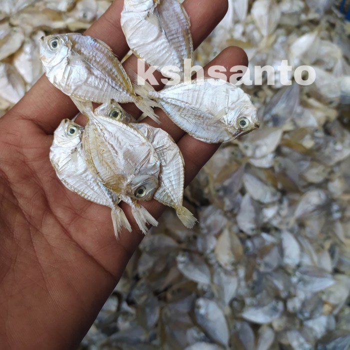 

Q12S Ikan Asin Petek Halus-1Kg D51qs