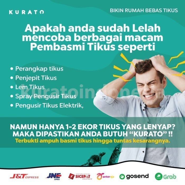 Ready - Kurato Original | Racun Tikus | Basmi Tikus | Tikus Lenyap