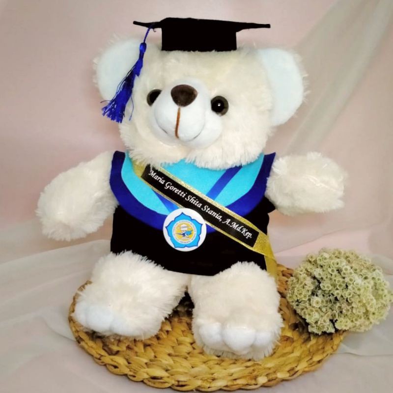 BONEKA WISUDA TEDDY BEAR 30CM + SELEMPANG