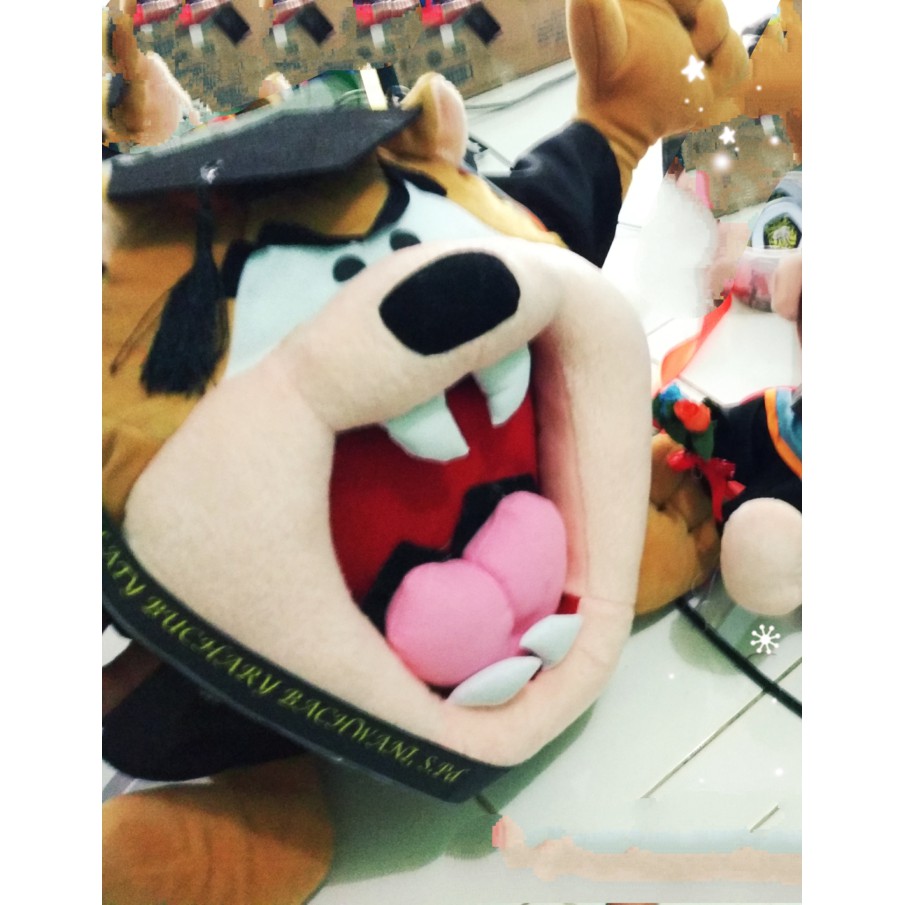 Jual Boneka Wisuda Tazmania XL Murah