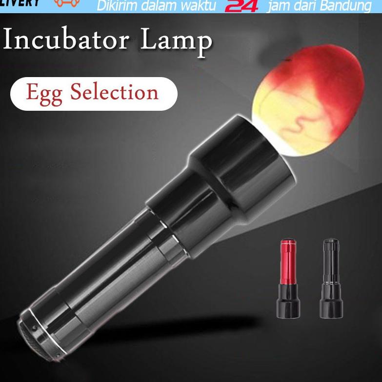 Lebih Terpercaya Inkubator Lamp LAMPU SENTER TEROPONG TELUR BURUNG MURAI KACER KENARI LOVEBIRD CUCAK
