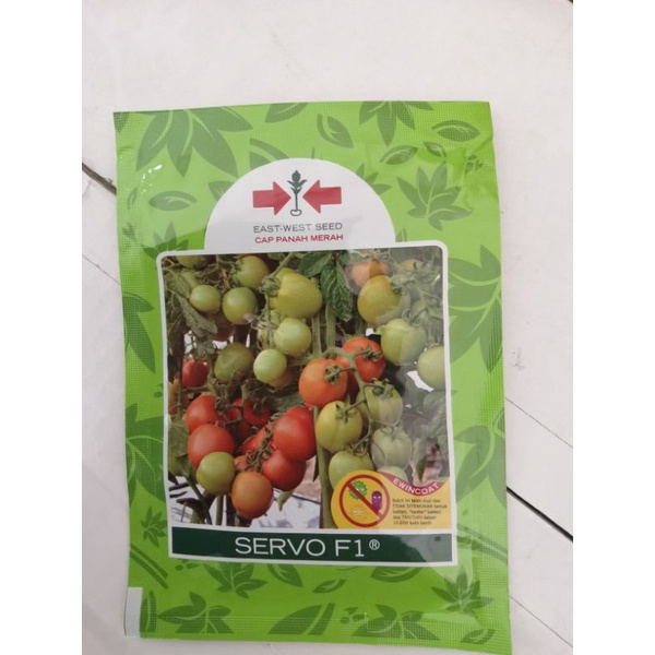 Tomat Servo