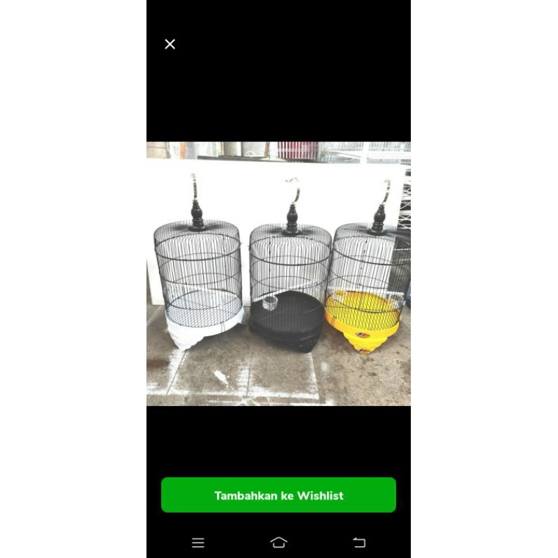 kandang burung pleci