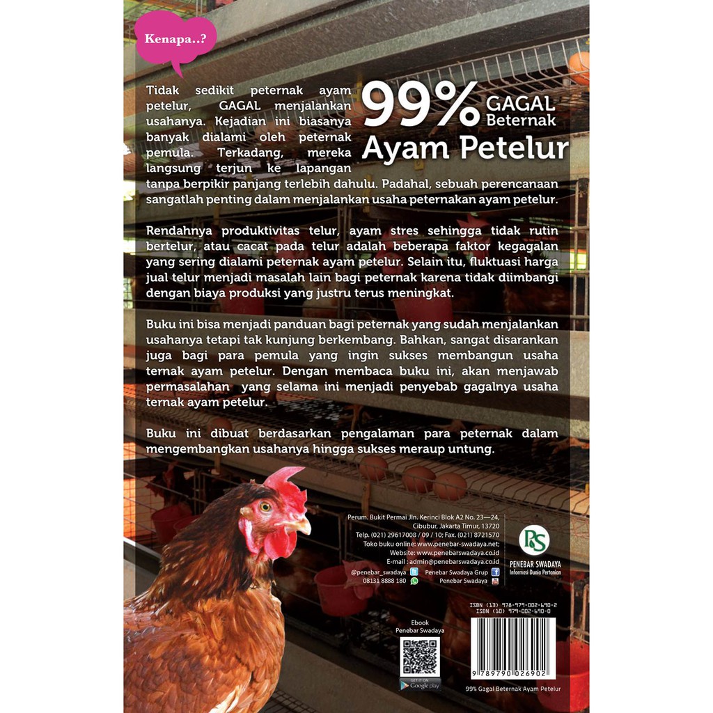 99 Gagal Beternak Ayam Petelur Shopee Indonesia