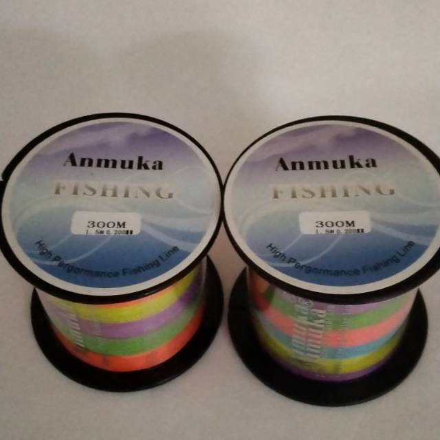 BENANG PANCING PE 300 M NO 1