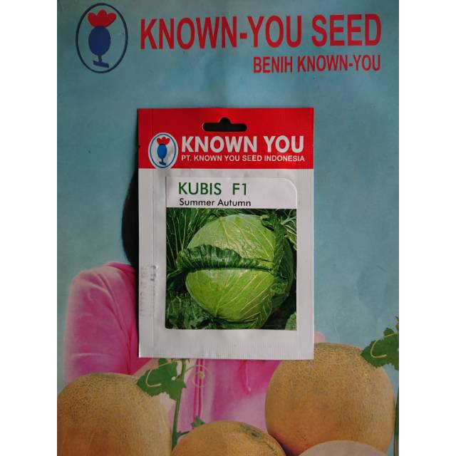 Benih Bibit Kubis Dataran Rendah SUMMER AUTUMN