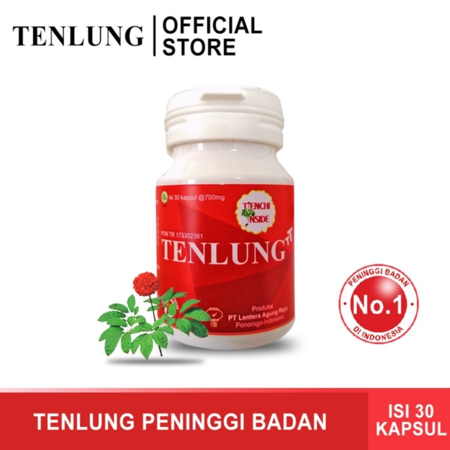TENLUNG PENINGGI BADAN ORIGINAL