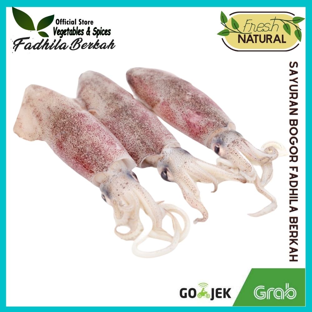 Ikan Segar Cumi Telor Sontong 500gr 250gr ikan segar bogor| Sayuran segar Bogor