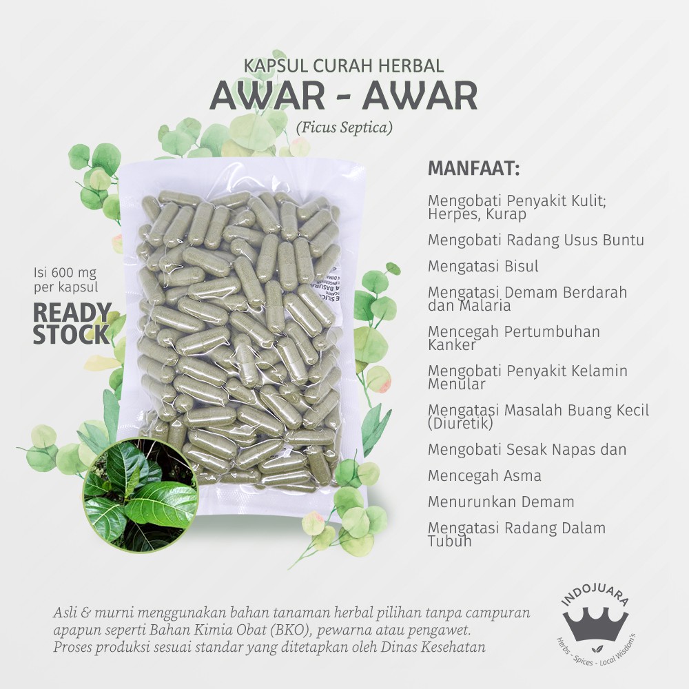 AWAR AWAR 100 Kapsul Curah Herbal Penyakit Kelamin Usus Buntu Kurap